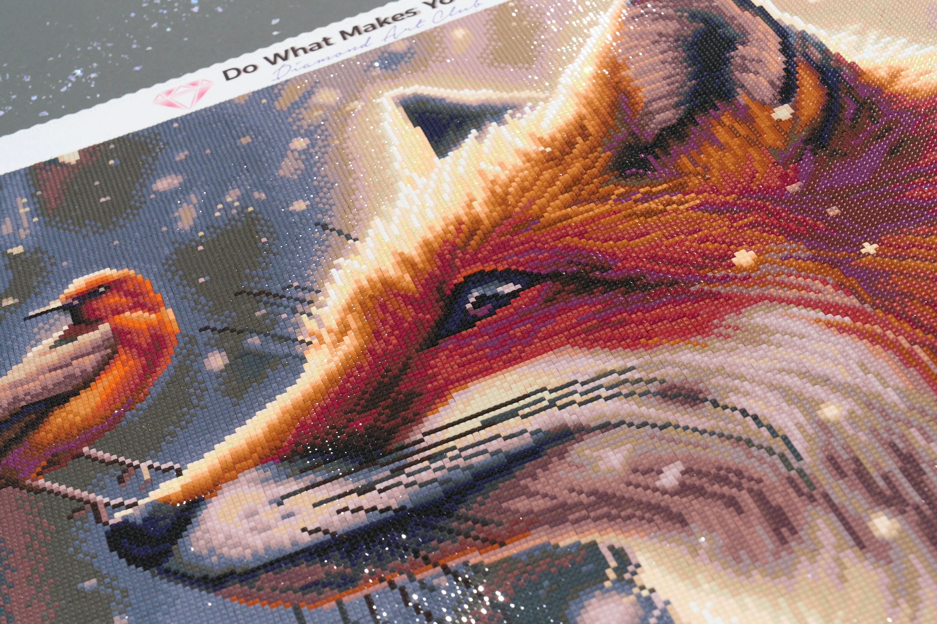 Winter Fox - Image 4