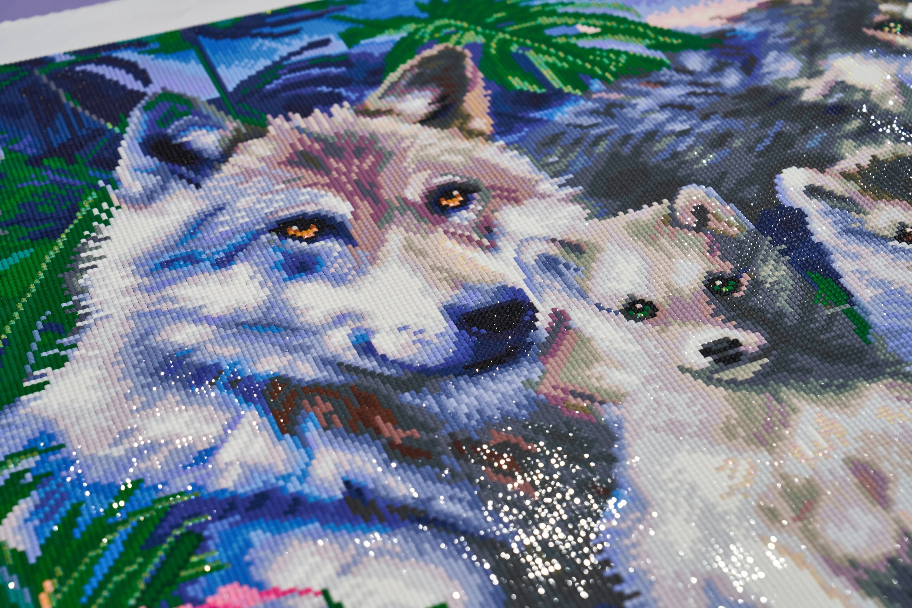 Wolf Family - Image 4