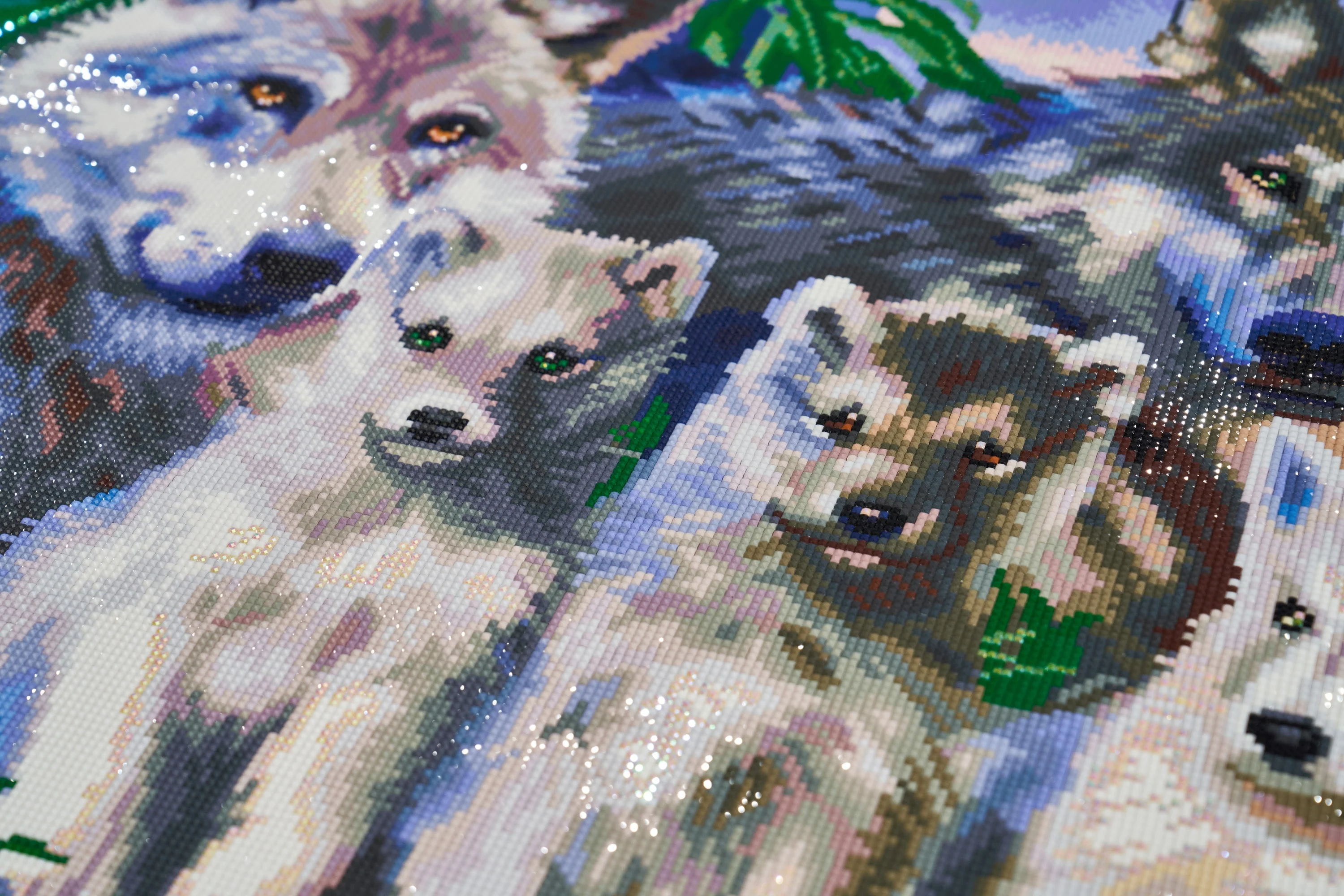 Wolf Family - Image 5