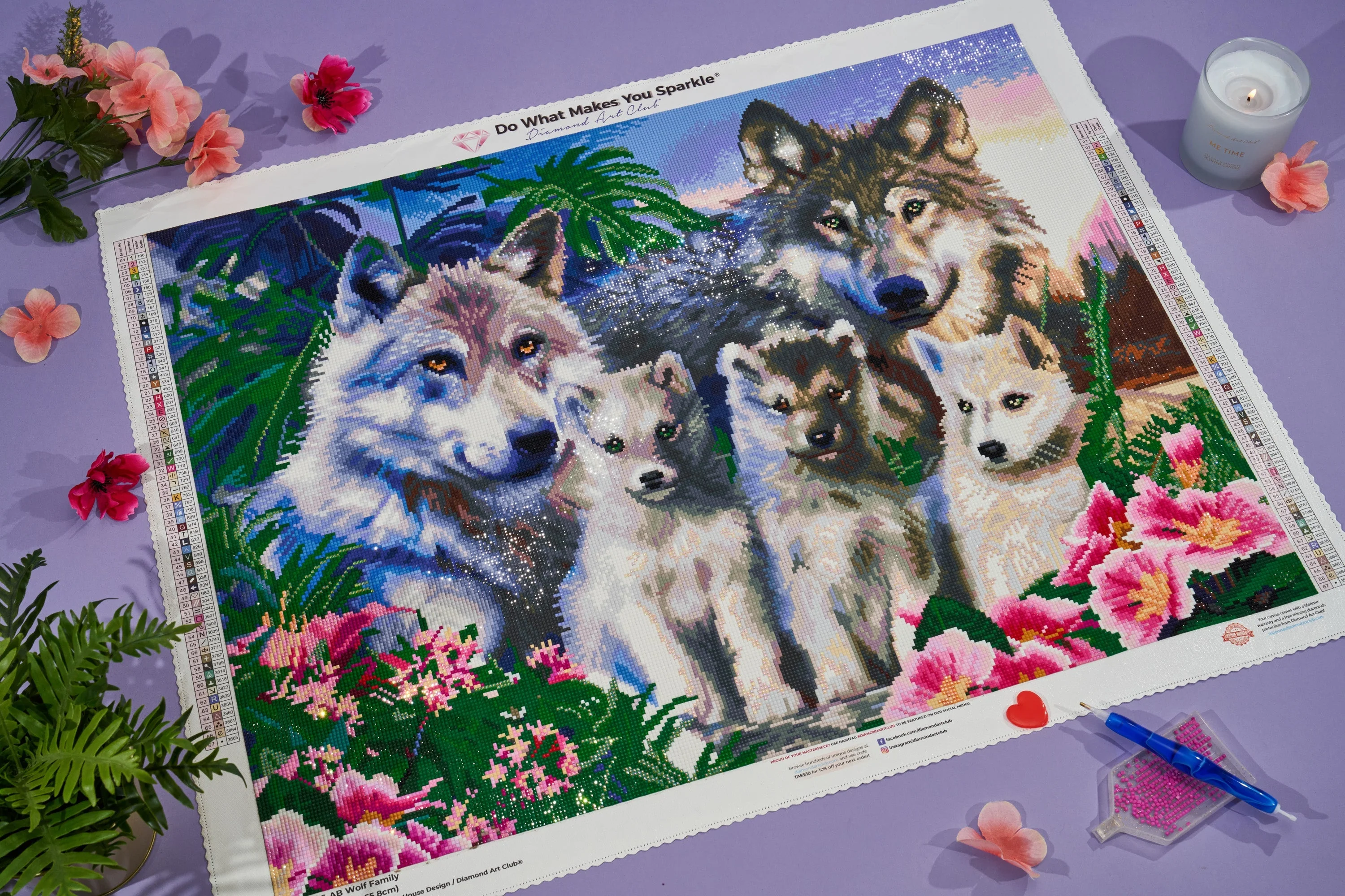 Wolf Family - Image 6