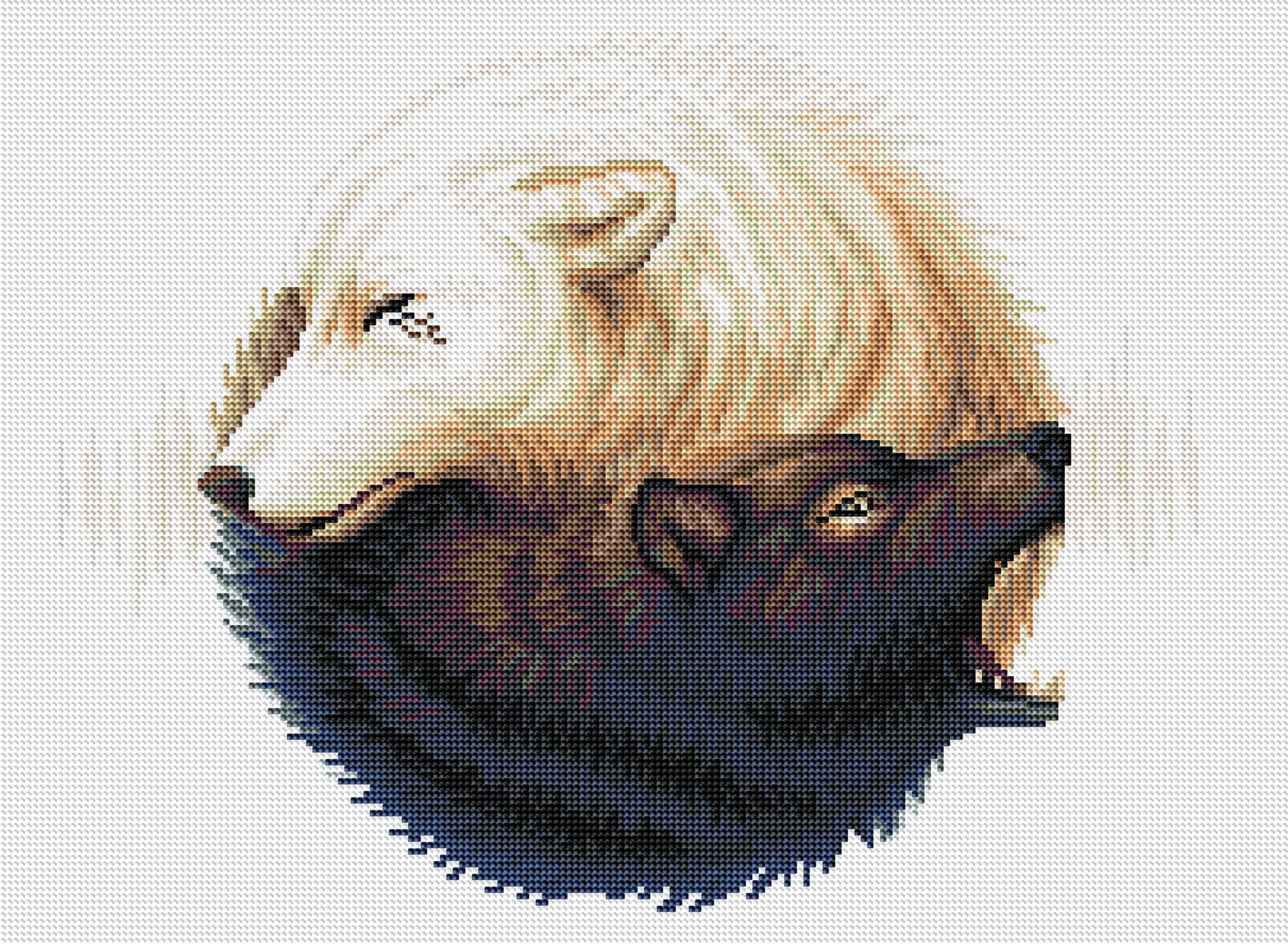 Yin Yang Wolves - Image 2