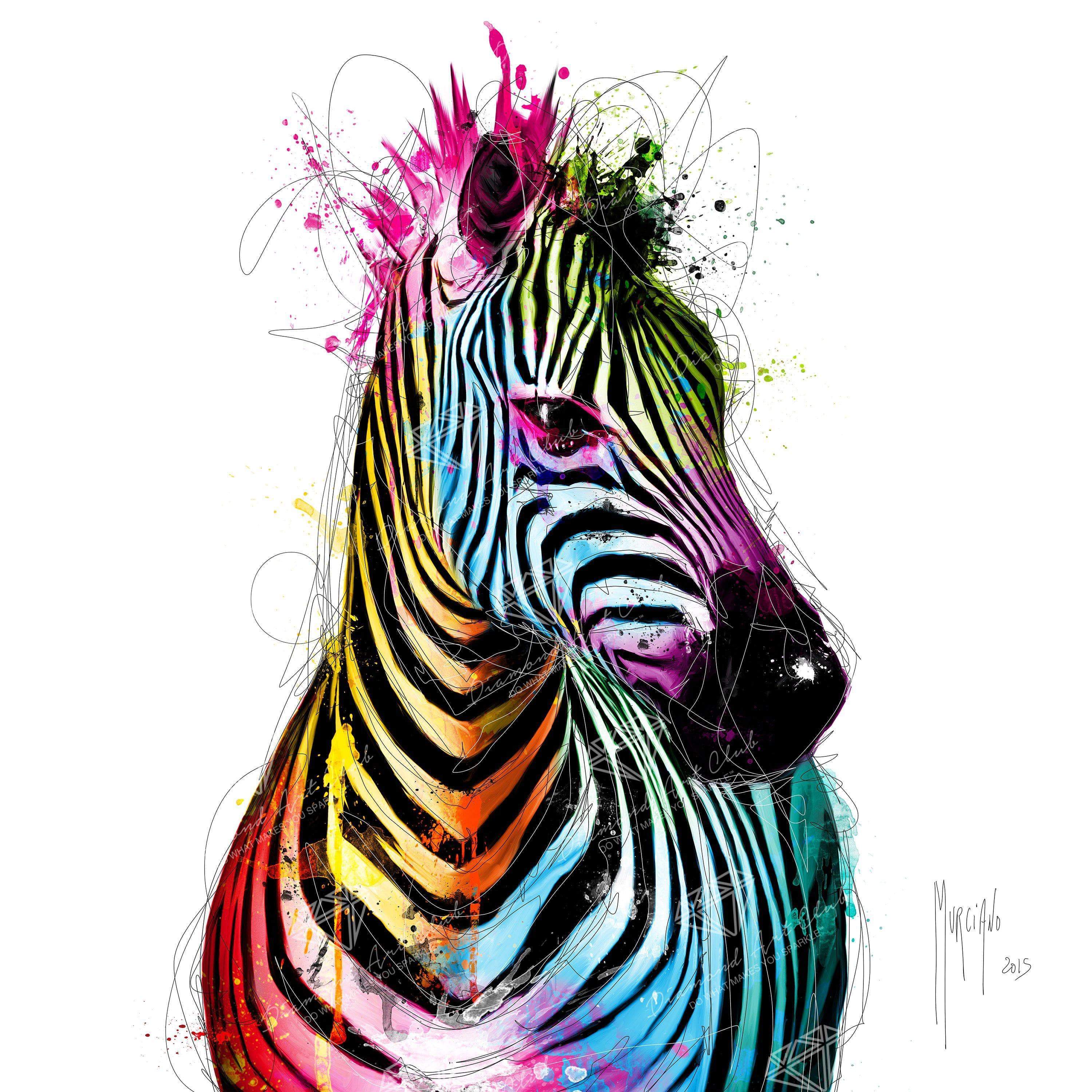 Zebra Pop